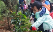 Lễ hội trồng cây đầu xuân Ất Mùi 2015